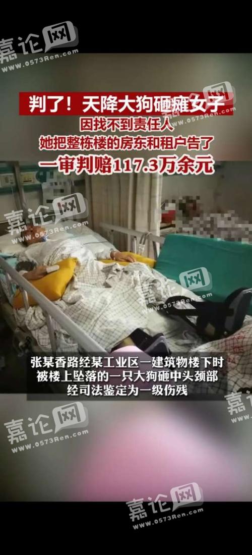 广州47岁女子被大狗砸瘫却无人认责，她把整栋楼告上了法庭，你认为合理吗「男子从26楼抛物获刑案例」 旅游地图